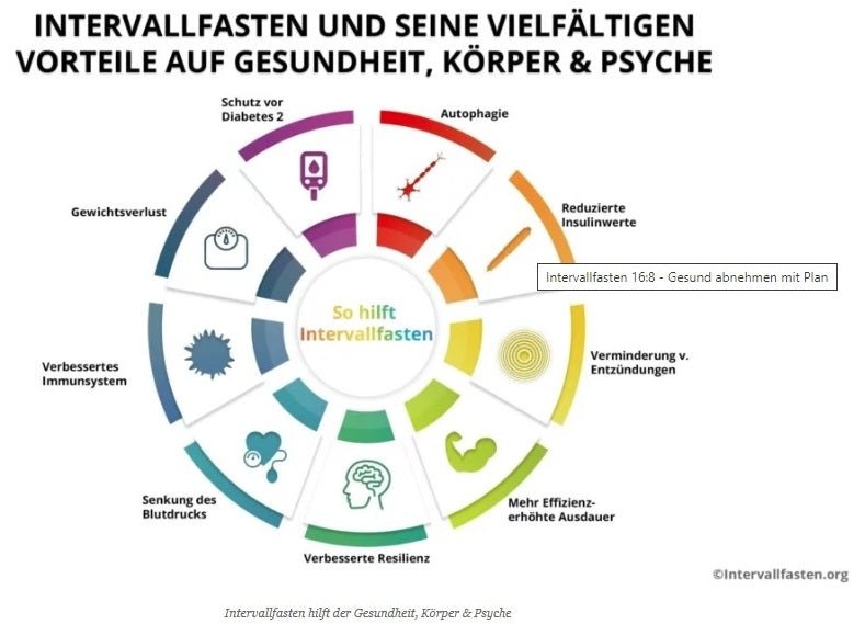 Intervallfasten: Für ein langes Leben - schlank und gesund - HerbalFusion - Das Original 🌿