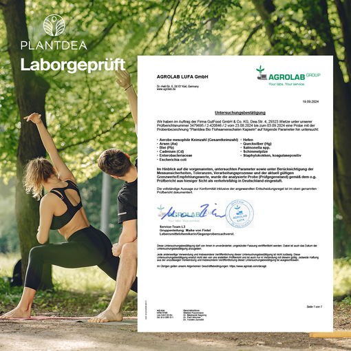 Bio Flohsamenschalen Kapseln