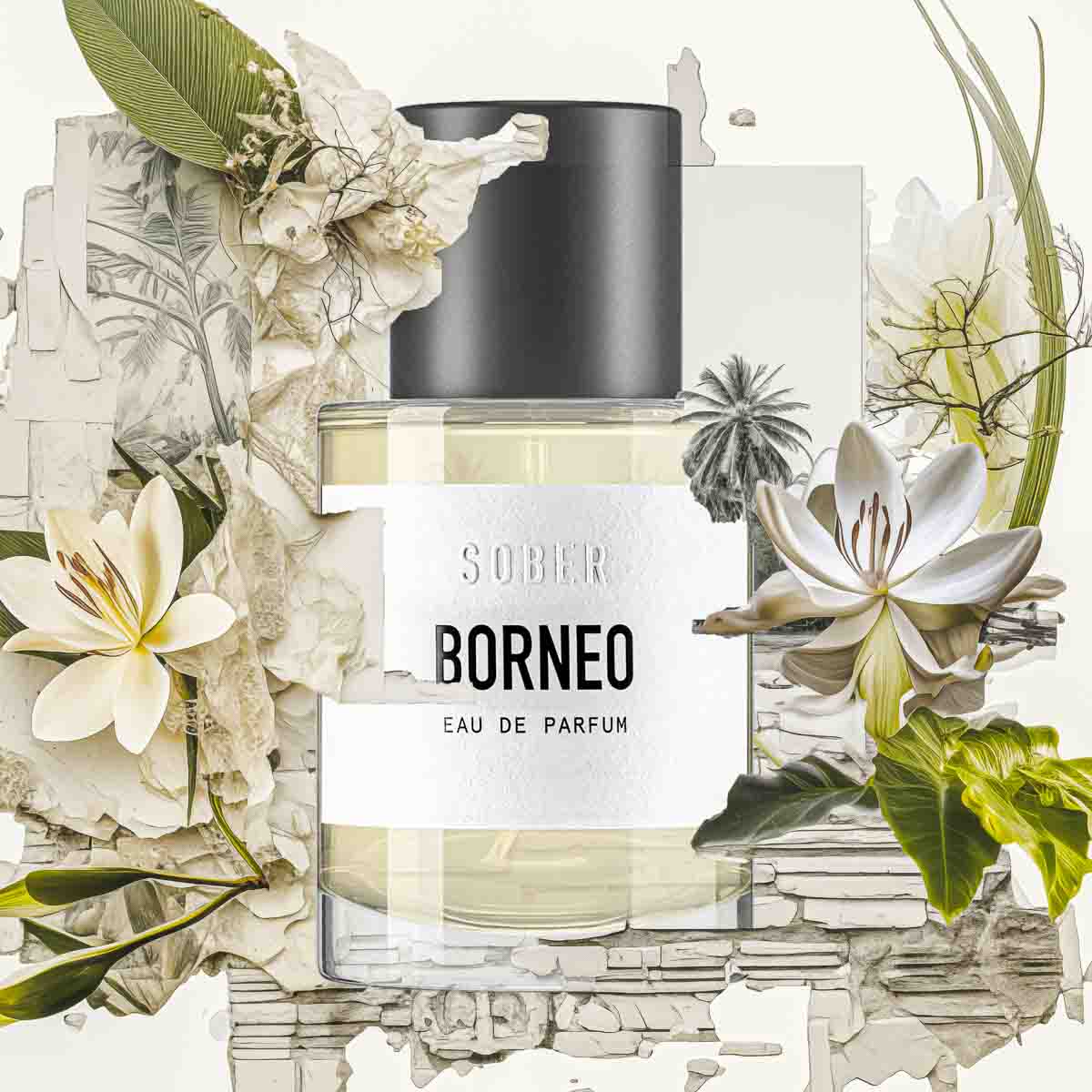 borneo - eau de parfum