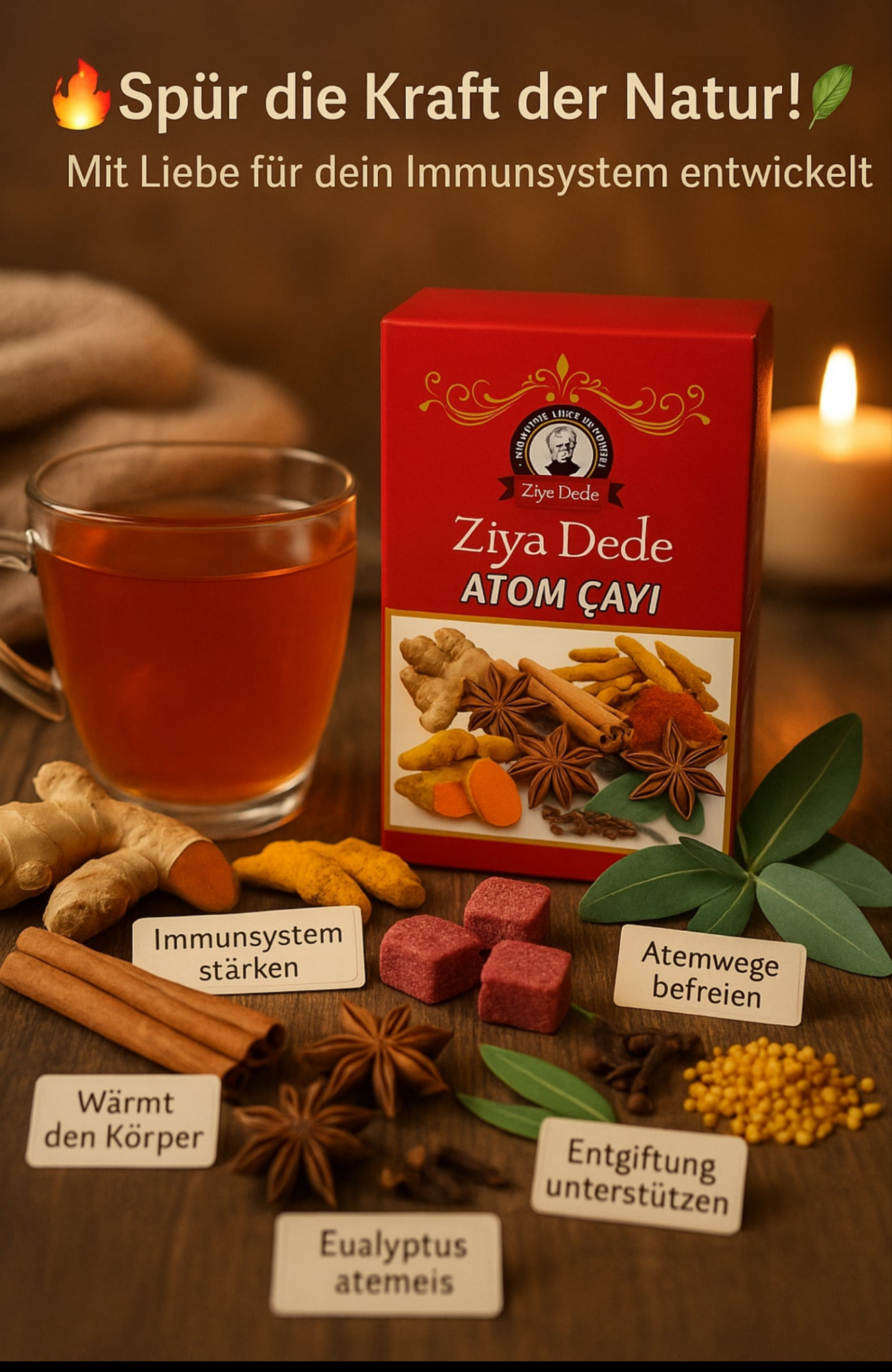 🍯 waldkraft – spüre die heilkraft des waldes 🫁