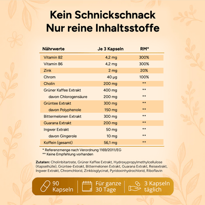 Stoffwechsel Plus – Stoffwechsel Komplex