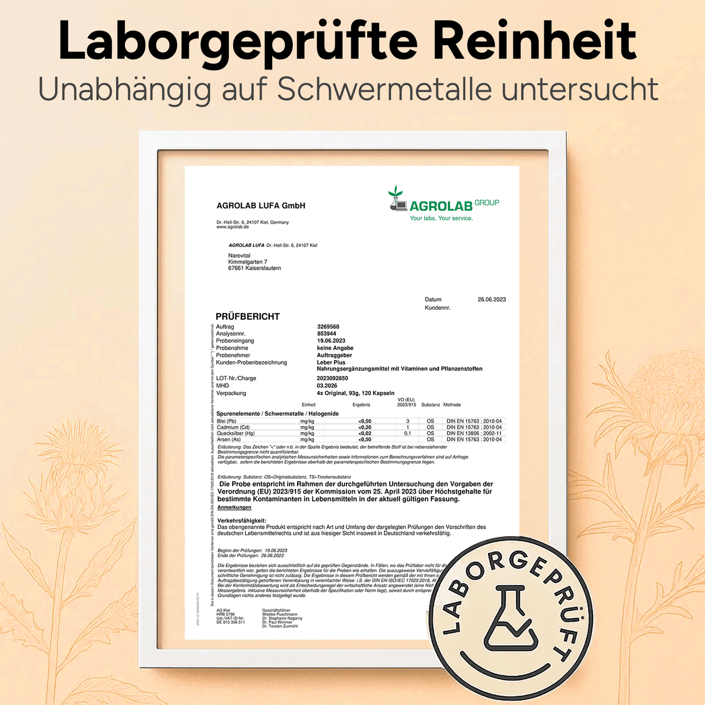 leber plus – mariendistel komplex