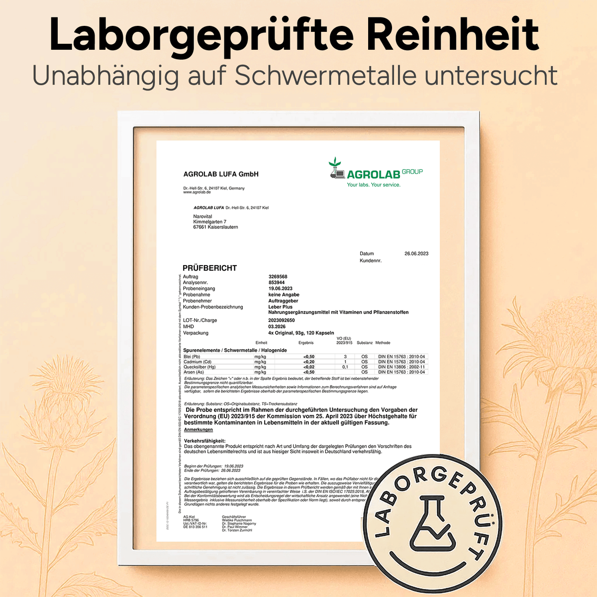Leber Plus – Mariendistel Komplex