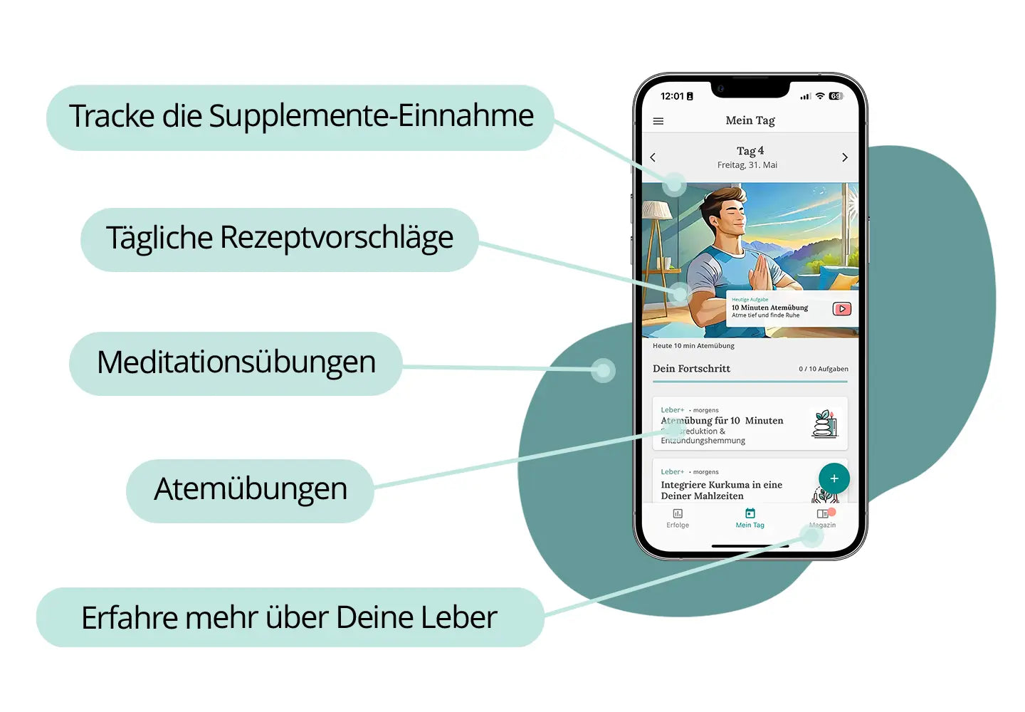 leber+ box - 14-tage intensivkur