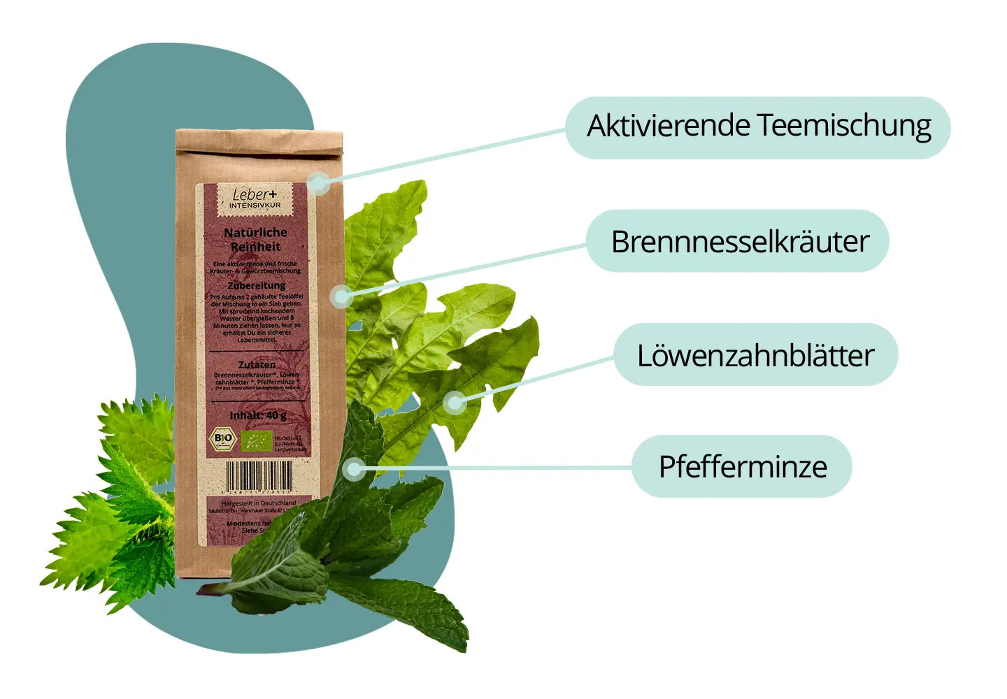 leber+ box - 14-tage intensivkur