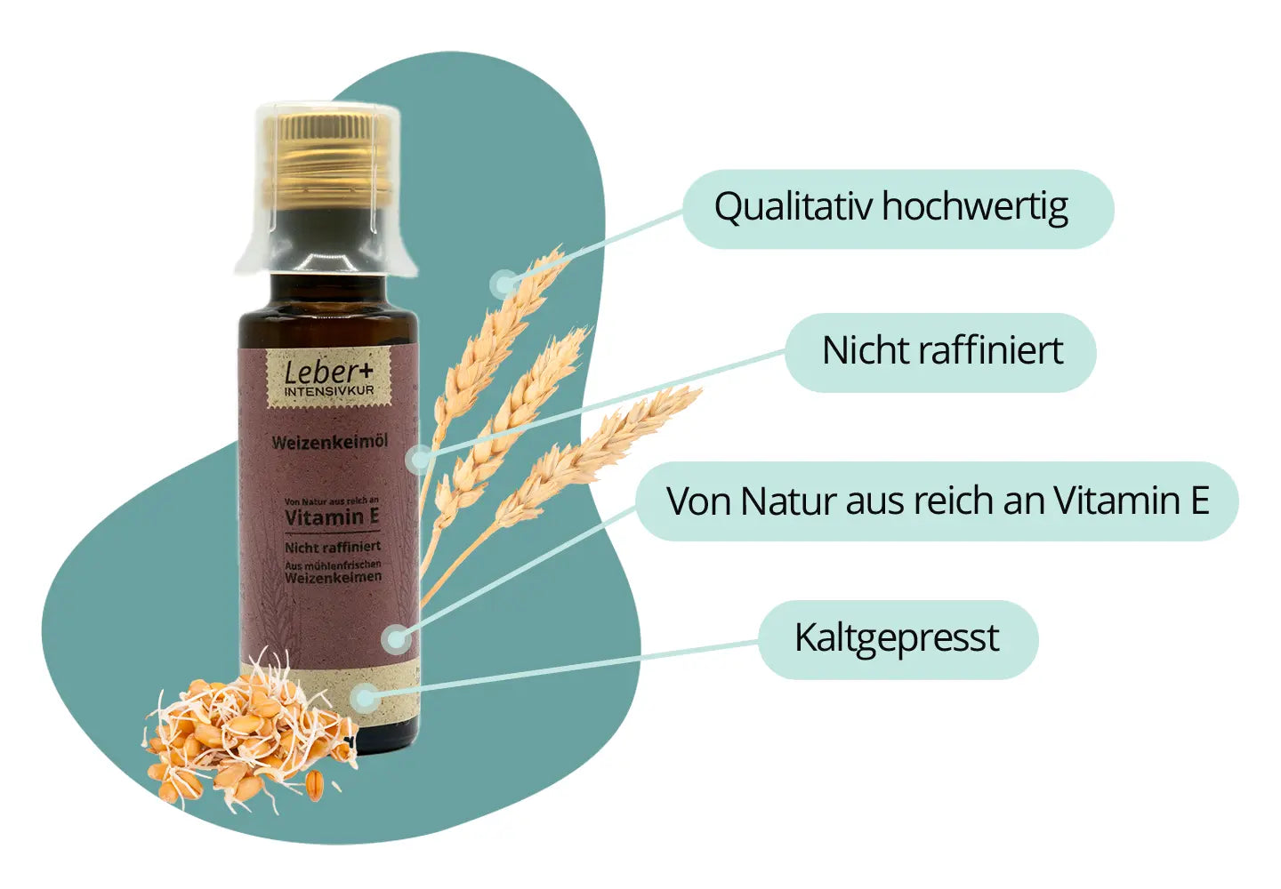 leber+ box - 14-tage intensivkur