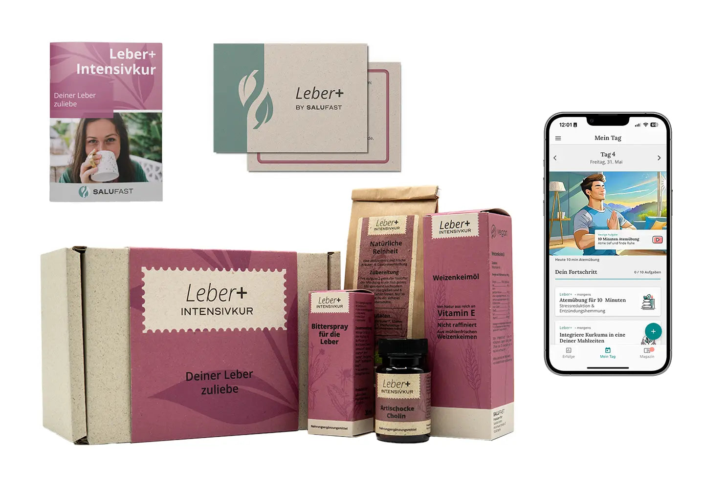 leber+ box - 14-tage intensivkur