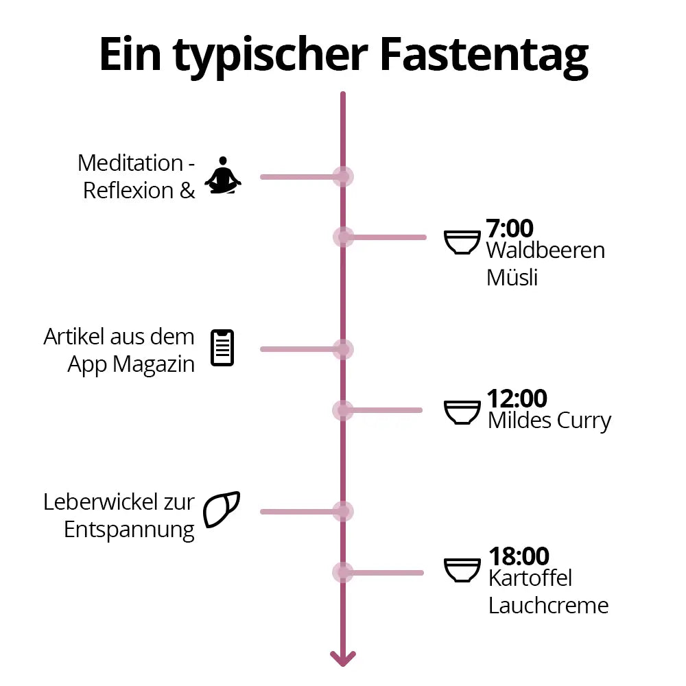 5 tage fastenbox - lebervital