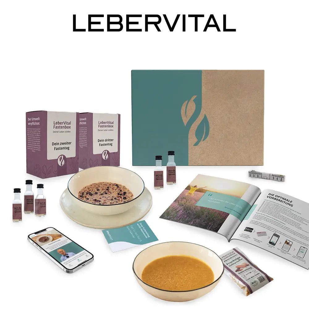 5 tage fastenbox - lebervital