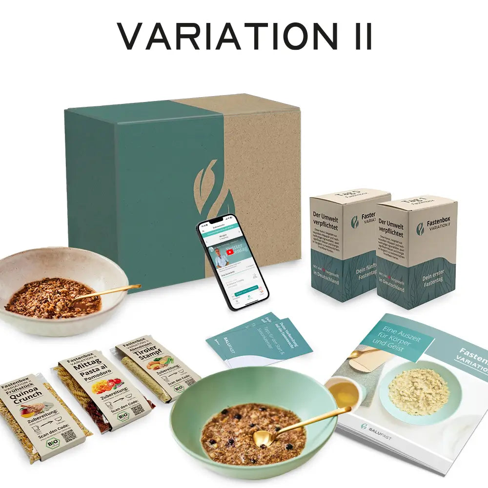 5 tage fastenbox - variation ii