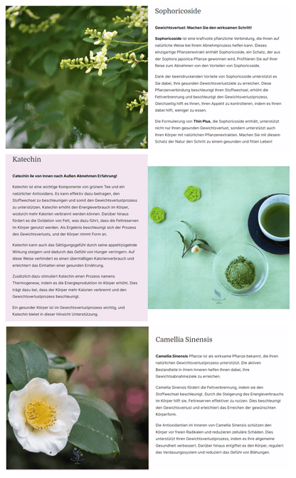 D - Thin Plus Normal - Erreichen Sie Ihre Idealform! - HerbalFusion - Das Original 🌿D - Thin Plus Normal - Erreichen Sie Ihre Idealform!HerbalFusion - Das Original 🌿HerbalFusion - Das Original 🌿D - Thin Plus Normal - Erreichen Sie Ihre Idealform!