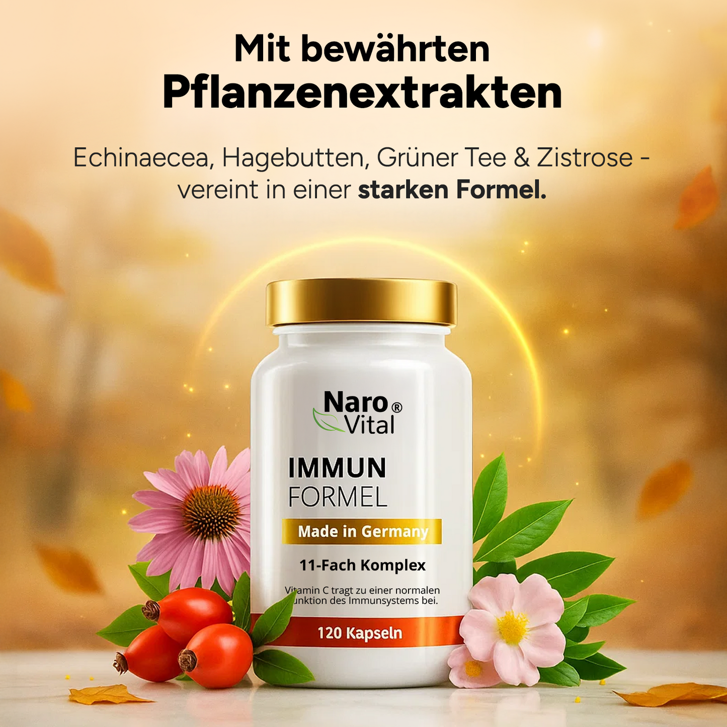 immun formel - immunsystem komplex