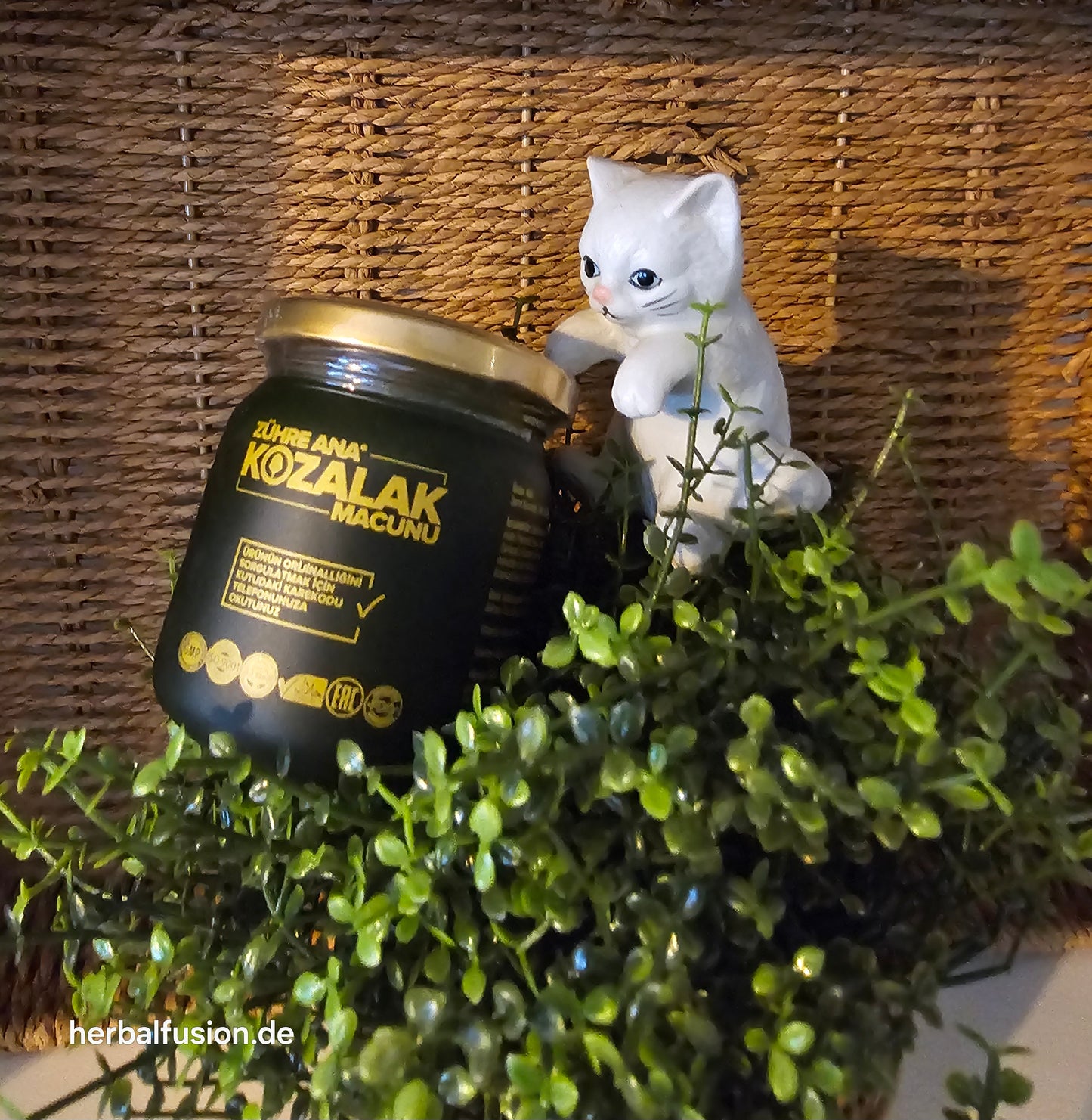 a| 🌲tannenzapfenpaste 240g – die kraft des waldes 🍯 für dein wohlbefinden