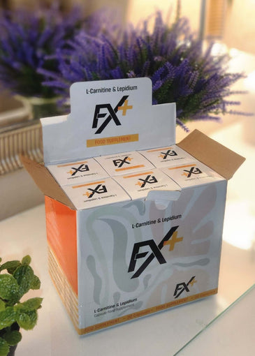 FX+ – Wenn dein Körper wieder mit dir arbeitet. ✨